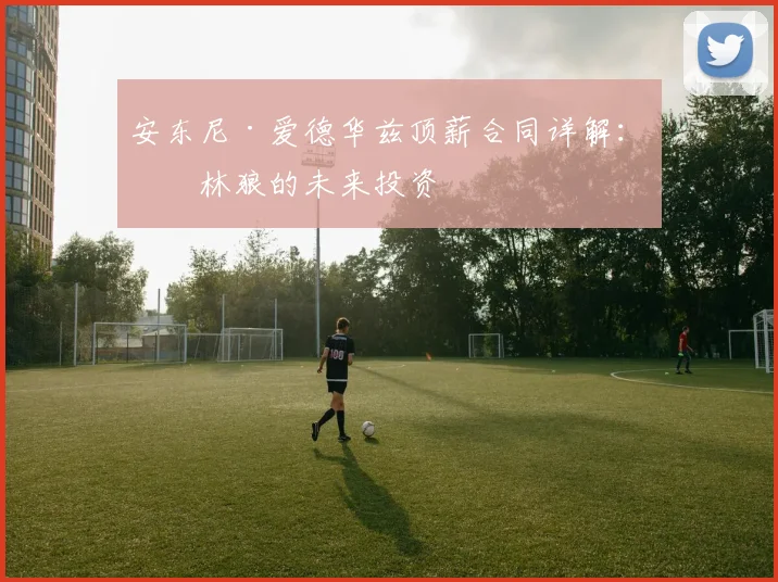安东尼·爱德华兹顶薪合同详解：森林狼的未来投资
