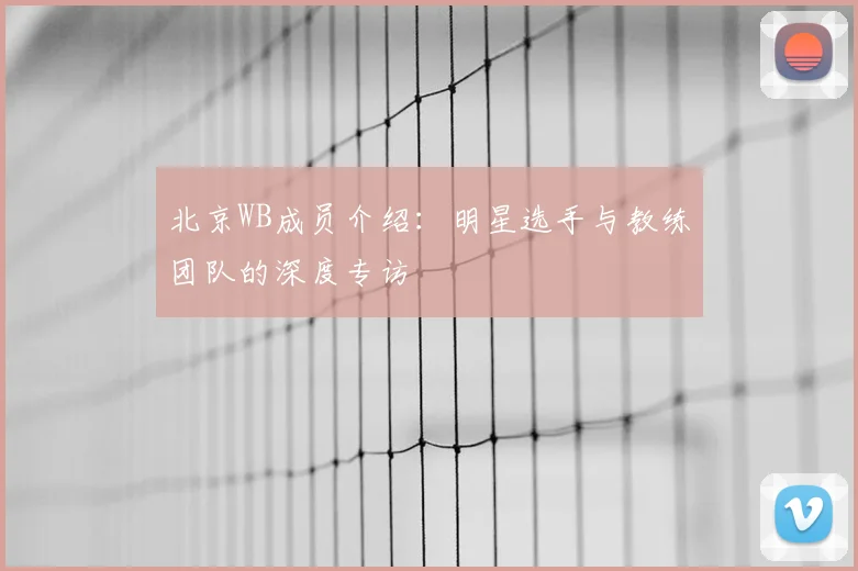北京WB成员介绍：明星选手与教练团队的深度专访