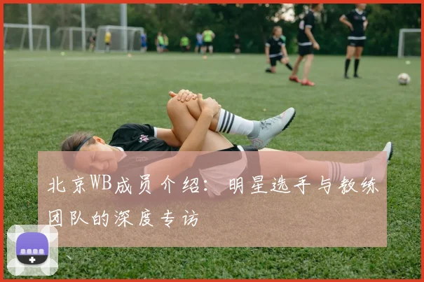 北京WB成员介绍：明星选手与教练团队的深度专访