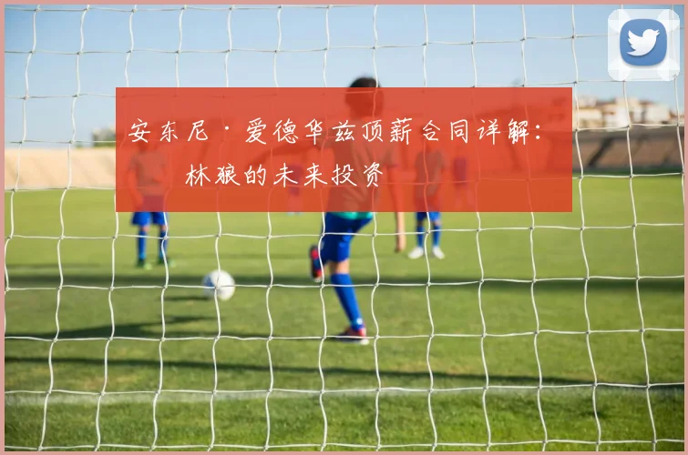 安东尼·爱德华兹顶薪合同详解：森林狼的未来投资