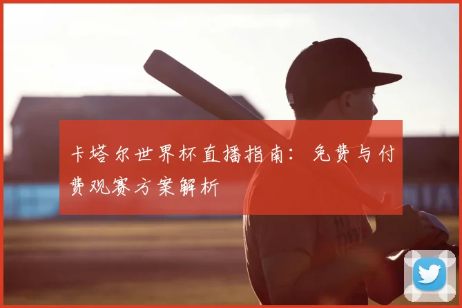 卡塔尔世界杯直播指南：免费与付费观赛方案解析
